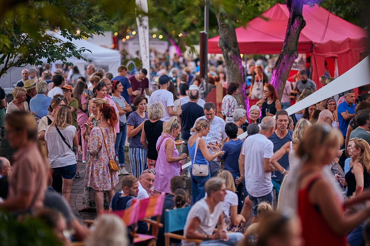 Feiern Menschenmenge feiert im Sommer im Freien