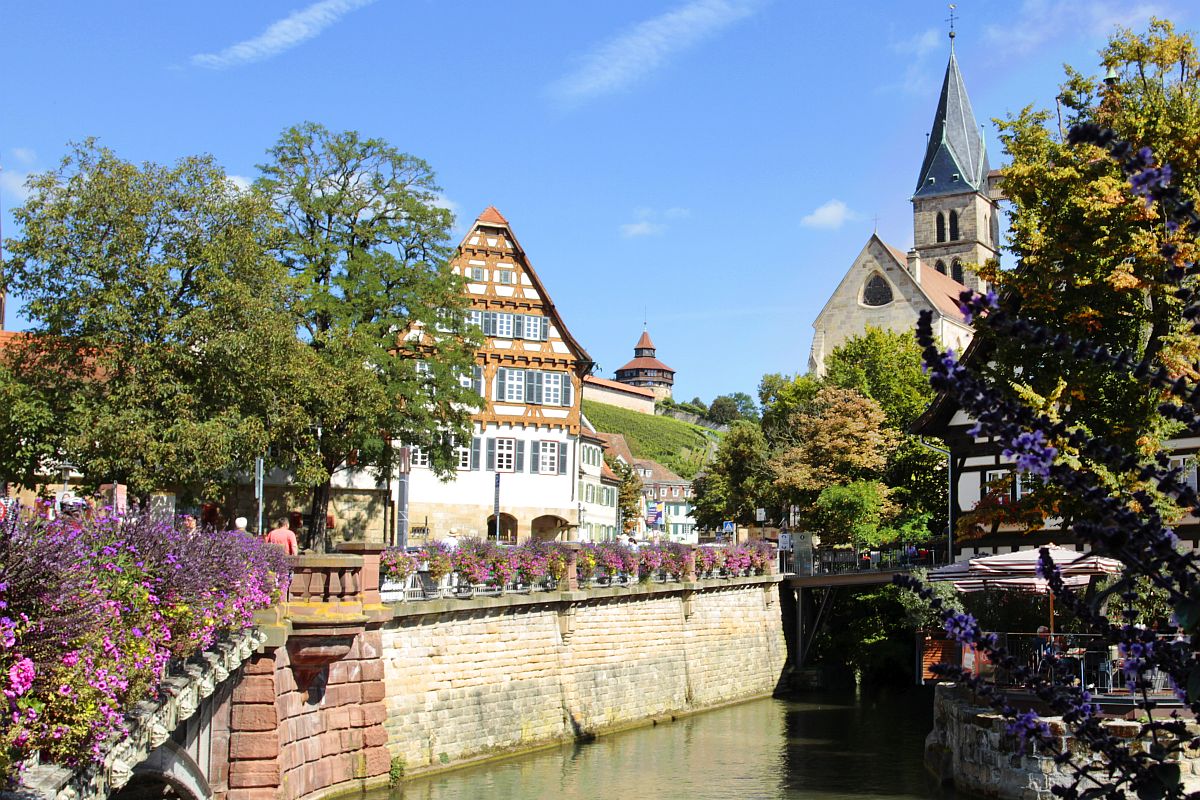 Stadtansicht Blick über den Rossneckar: Fachwerkhaus, Stadtkirche und Dicker Turm
