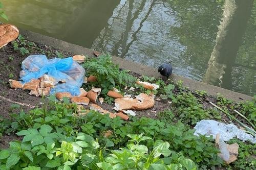 Essensreste und Plastiktüten im Merkelpark