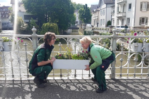 Zwei Mitarbeitende hängen an der Agnesbrücke einen bepflanzten Balkonkasten auf