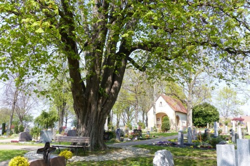 Erdbestattungsgräber auf dem Berkheimer Friedhof