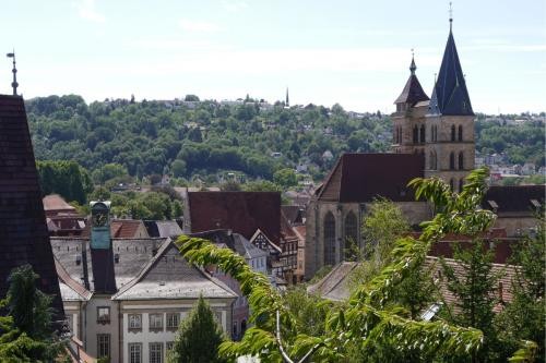 Blick durch die Äste eines Baums auf das Neue Rathaus und die Stadtkirche, im Hintergrund ein Berg mit weiteren Bäumen