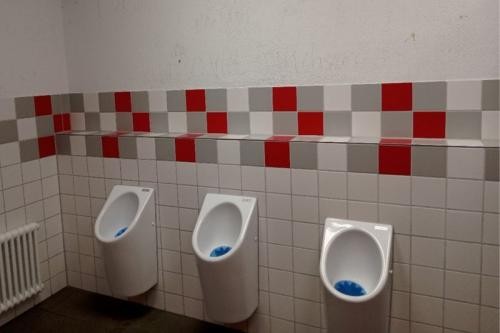 Sanierte Schultoiletten im Fachbau des Mörike-Gymnasiums