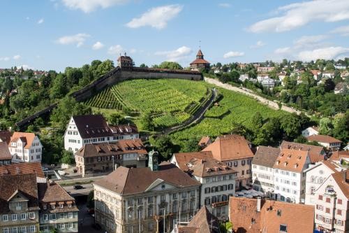 Stadtansicht mit Rathaus und Esslinger Burg
