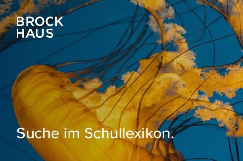 gelbe Qualle vor blauem Hintergrund. Text: Brockhaus. Suche im Schullexikon