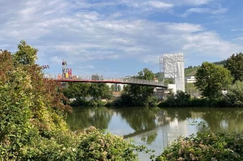Neckarsteg