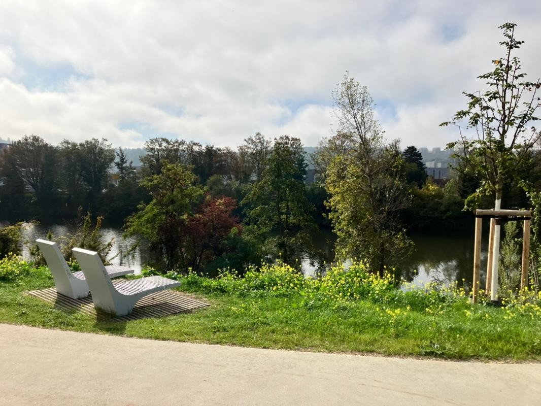 Liegebänke im Neckaruferpark