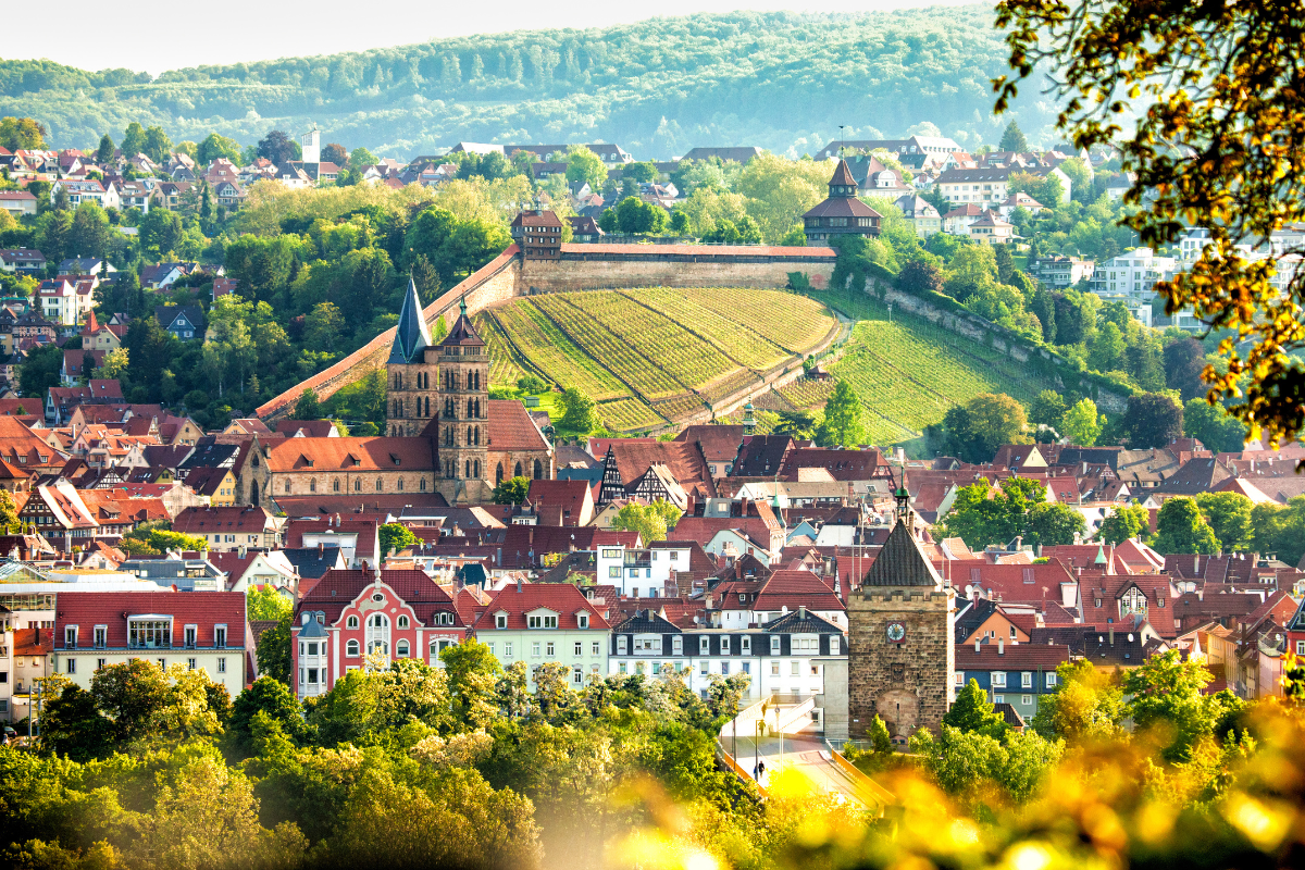 Blick durch Blätter auf die Esslinger Altstadt mit Schelztorturm, Stadtkirche und im Hintergrund der Weinberg und die Esslinger Burg