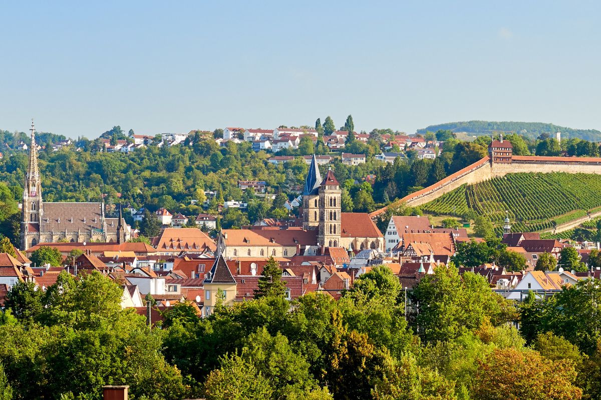Esslinger Wahrzeichen zwischen Bäumen und Weinbergen Blick auf das Esslinger Münster St. Paul, die Esslinger Stadtkirche und die Burg an einem sonnigen Tag