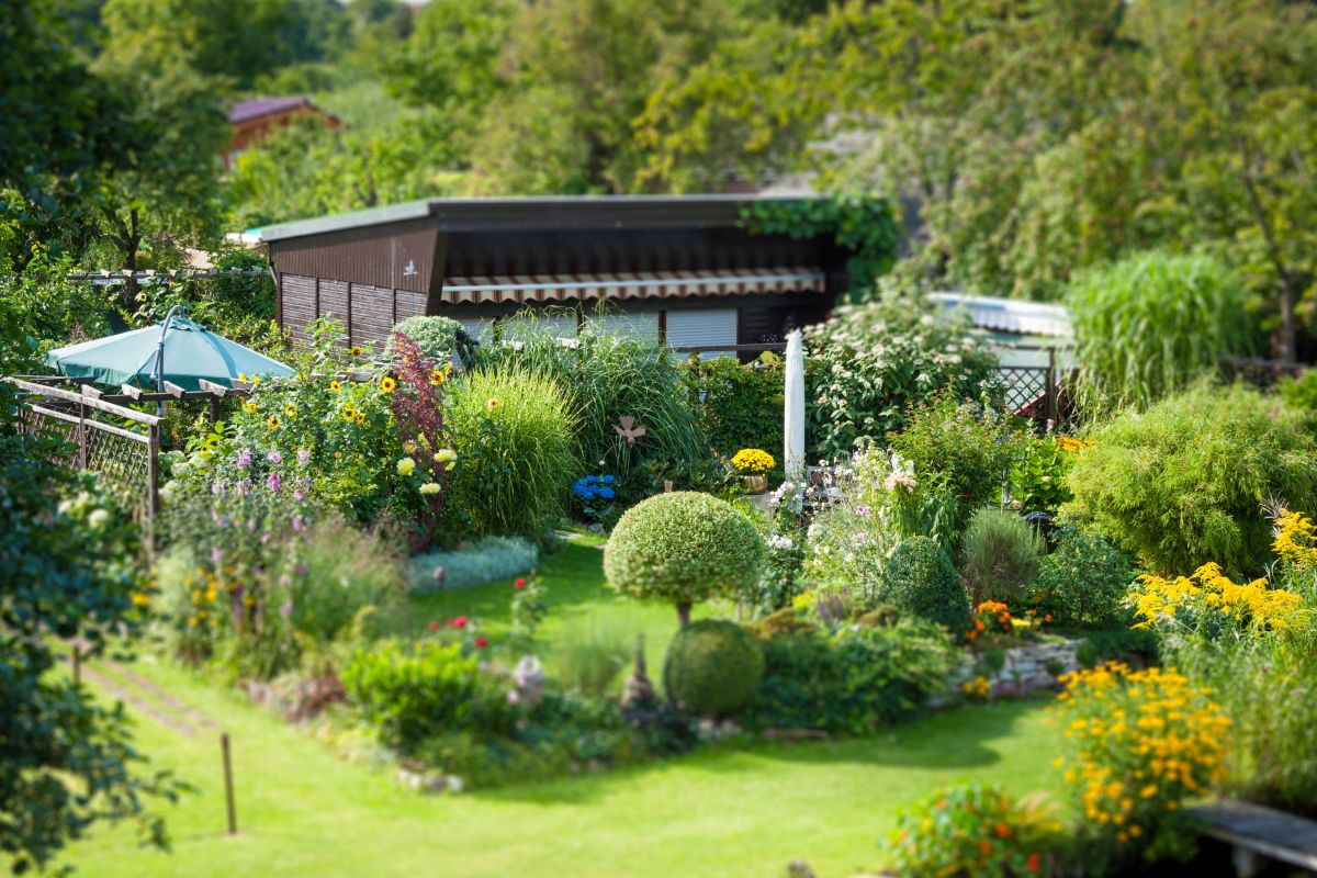 Kleingarten mit Häuschen©Christina Kohnen / adobe.stock Kleingarten mit Häuschen
