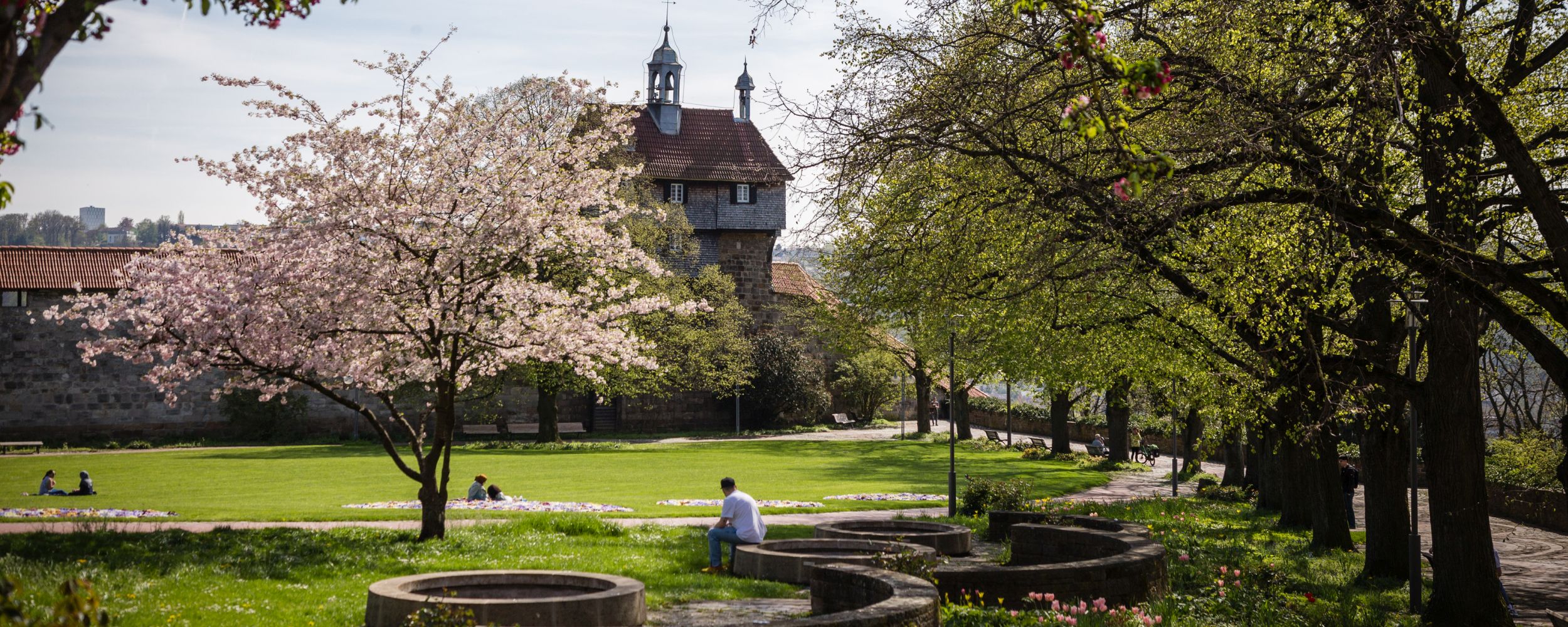 Frühling auf der Esslinger Burg