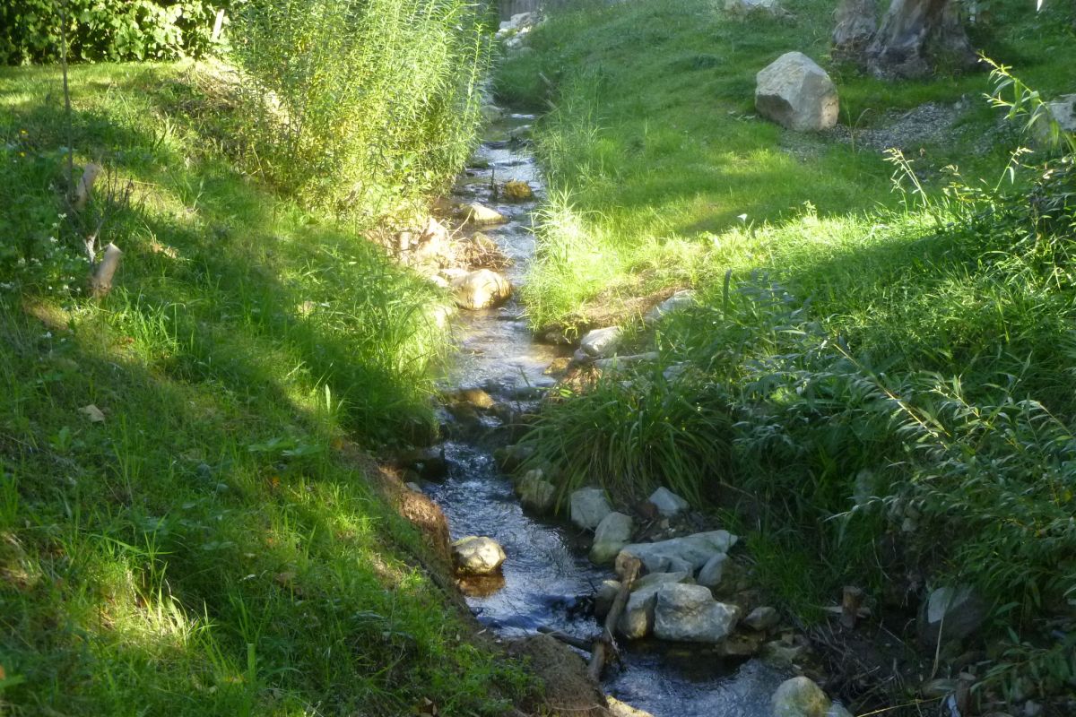 Schilleranlage Blick in die Anlage, Blumenbeete, Bäume, Bänke
