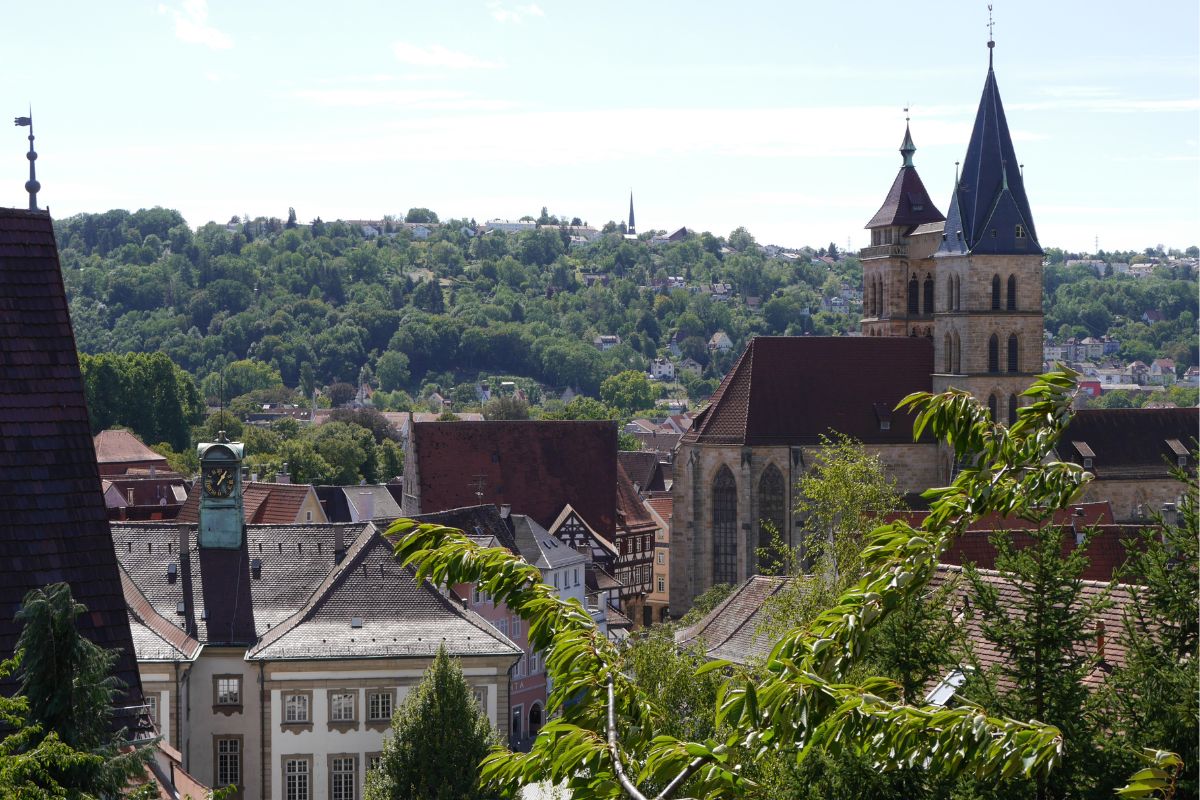 Blick durch die Äste eines Baums auf das Neue Rathaus und die Stadtkirche, im Hintergrund ein Berg mit weiteren Bäumen