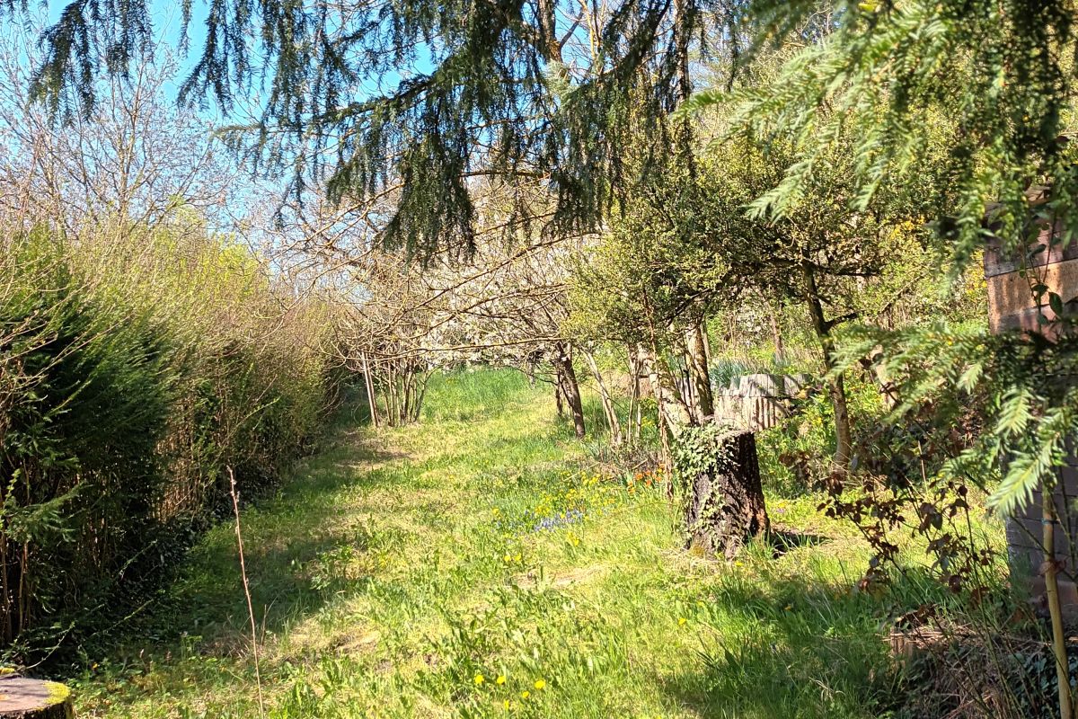 Übersicht über das Grundstück