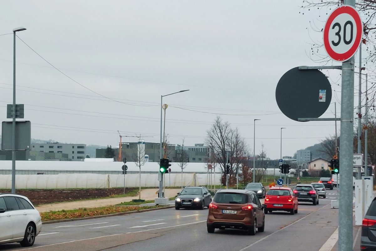 Tempo 30-Zeichen an der Weilstraße Tempo 30-Zeichen an der Weilstraße auf Höhe des Sportparks Weil