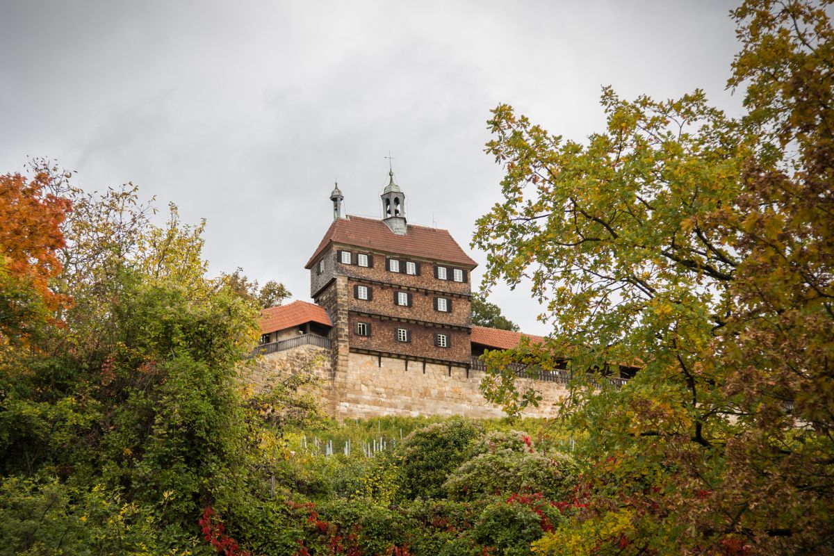 Hochwacht Blick auf die Hochwacht im Herbst.