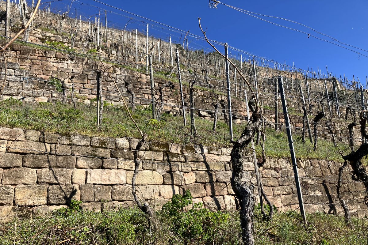 Weinbergmauer Weinbergmauer