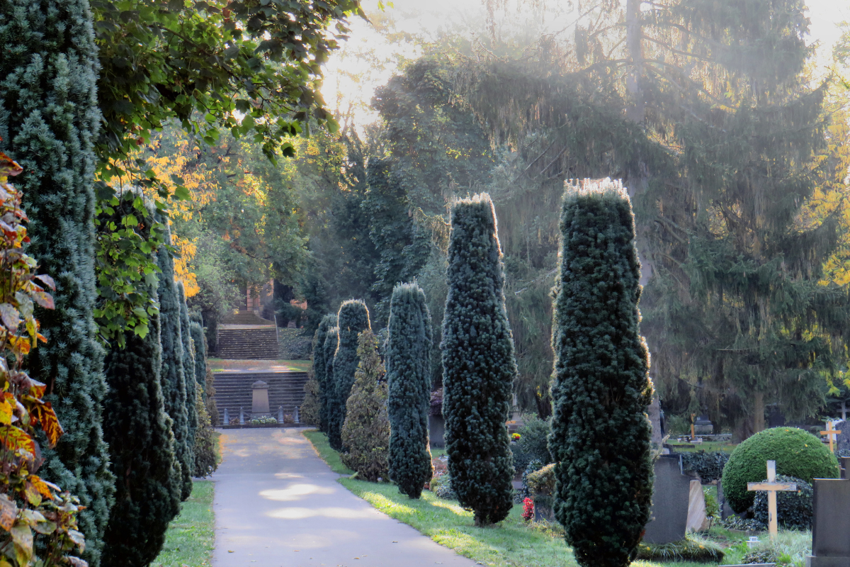 Ebershaldenfriedhof im Herbst Ebershaldenfriedhof im Herbst