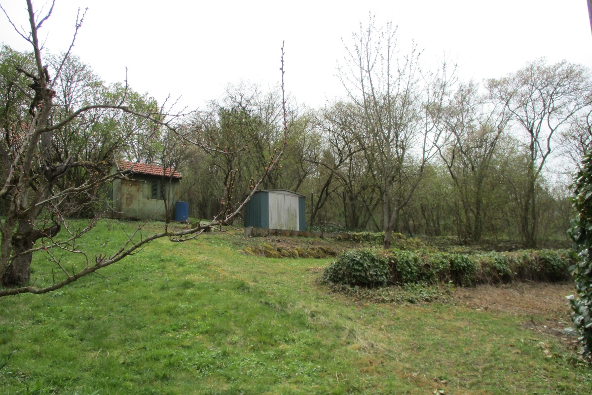 Garten mit kleiner Hütte