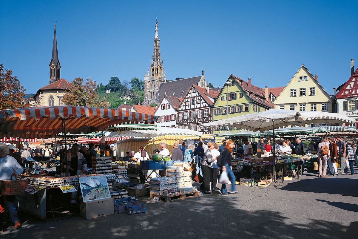 Wochenmarkt auf dem Esslinger Marktplatz