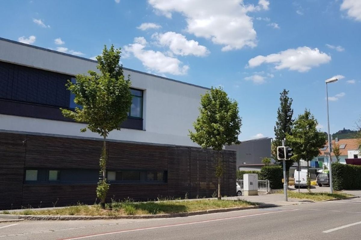 Neu gepflanzte Bäume am Rand der Eberhard-Bauer-Straße