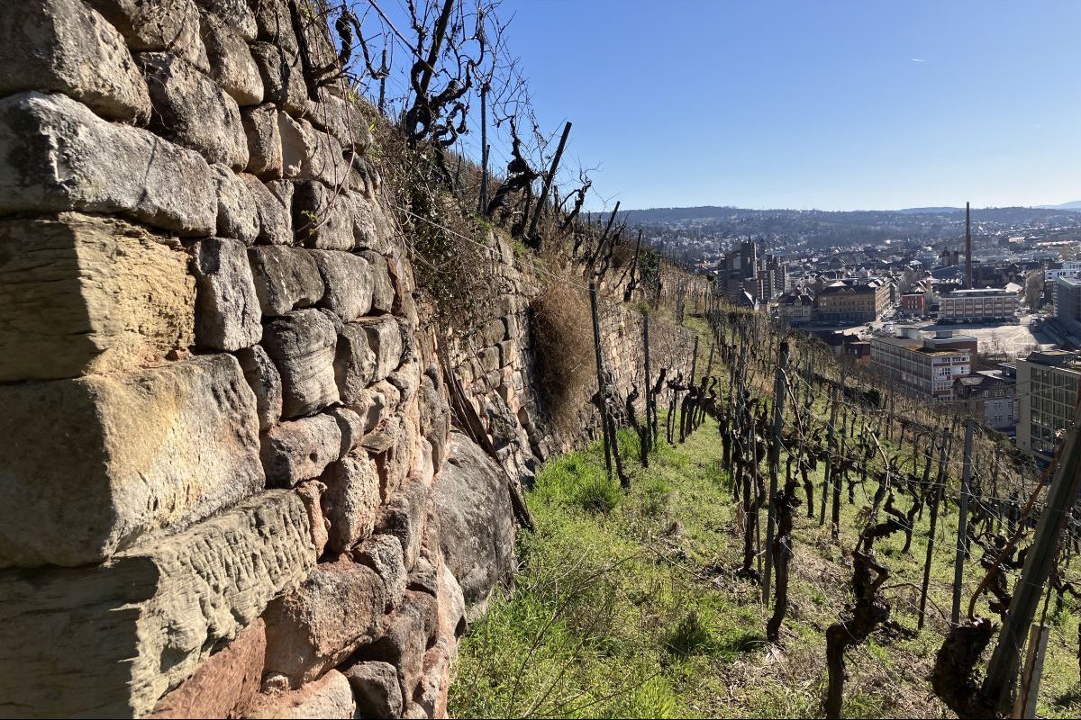 Weinbergmauer Weinbergmauer
