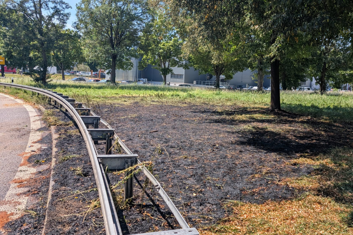Grünstreifenbrand Verkohlte Fläche nach einem Grünflächenbrand an der B10.