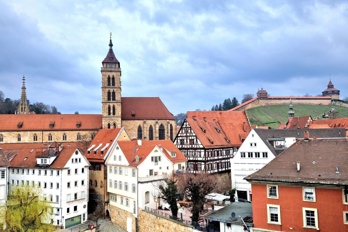 Blick auf Stadtkirche und Burg