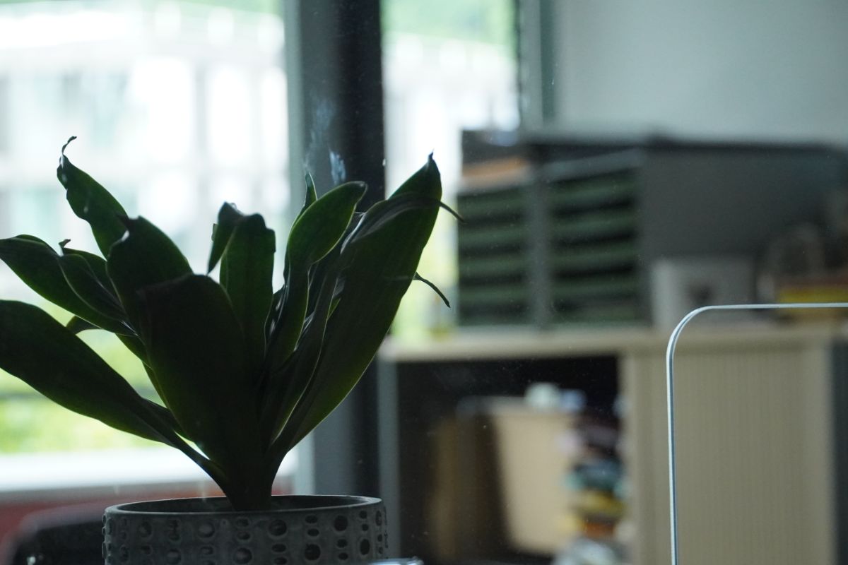 Verwaltungsbüro der Sachbearbeitung