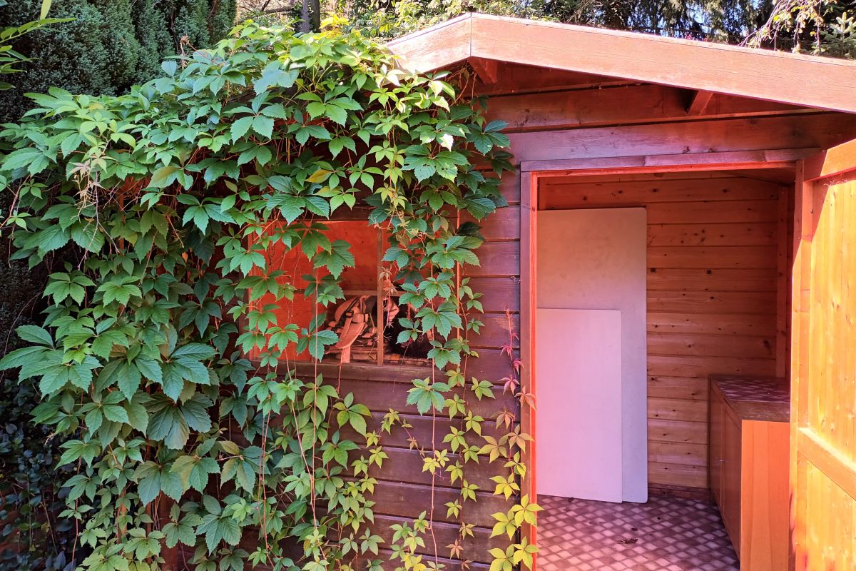 Geschirrhütte auf dem Grundstück