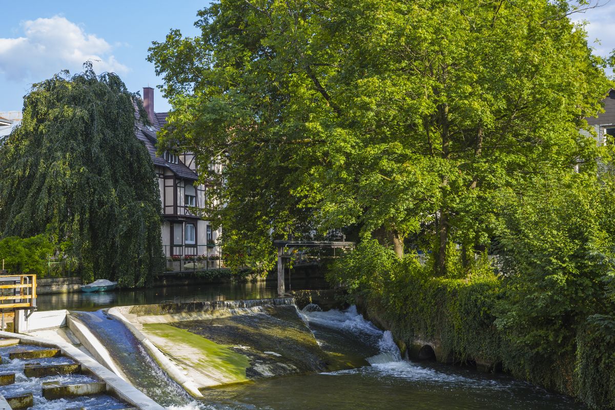 Wehr am Hammerkanal Wehr am Hammerkanal, der Neckarkanal fließt das Stauwerk im Schatten eines großen Baums bergab