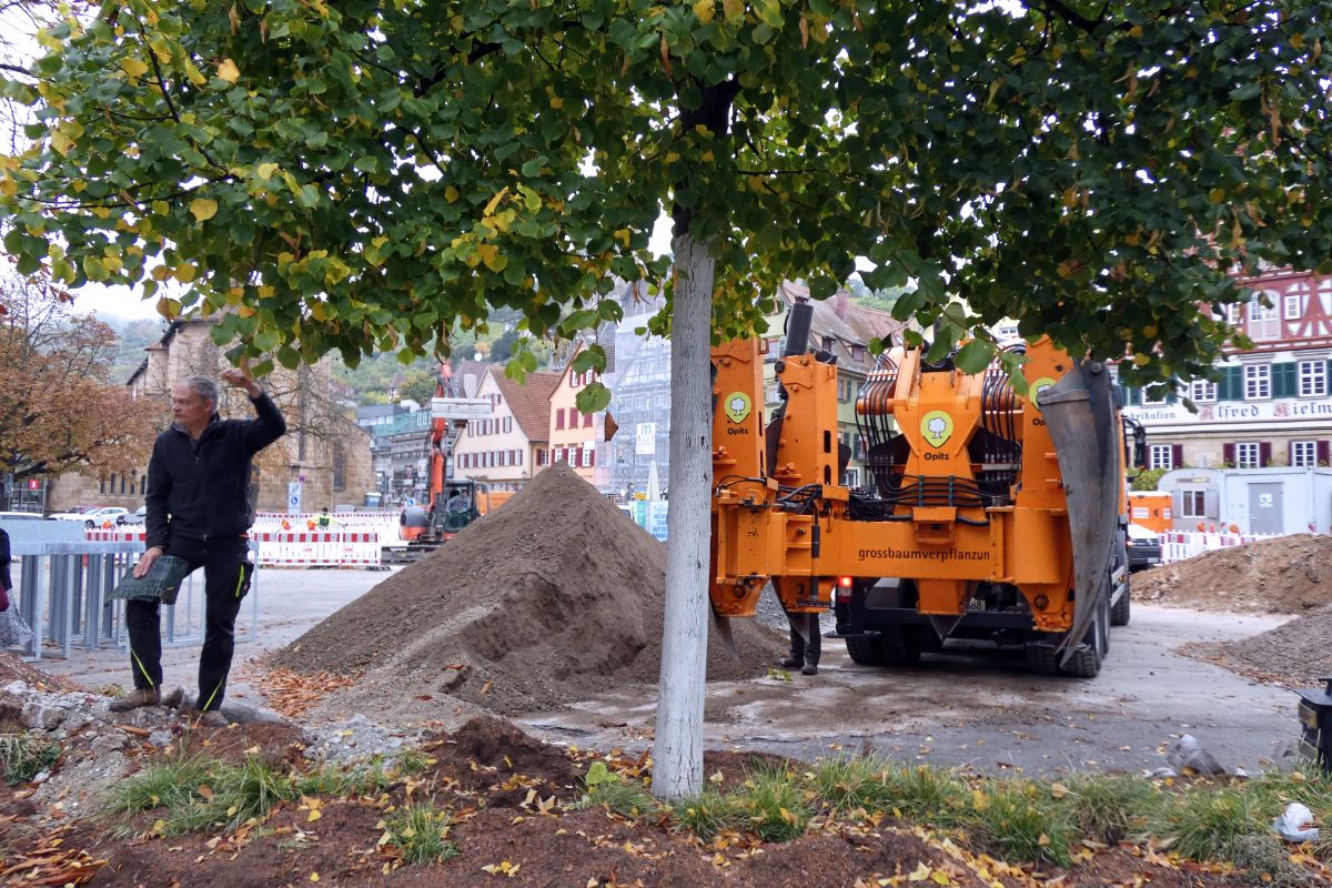 Lkw fährt an Baum auf dem Marktplatz heran