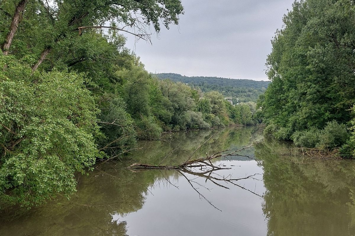 Alter Neckar Alter Neckar