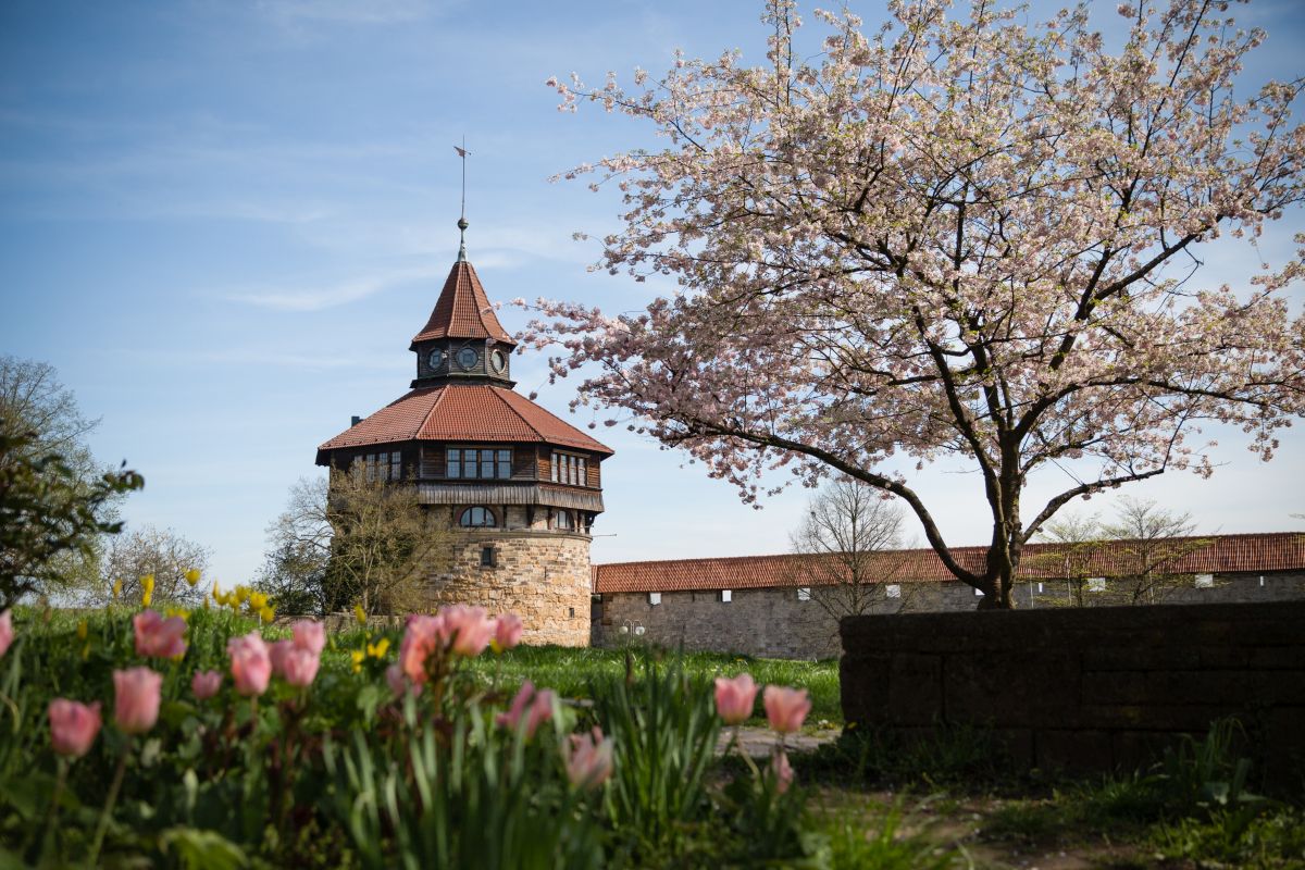 Dicker Turm und Sailergang vom Burghof aus gesehen.