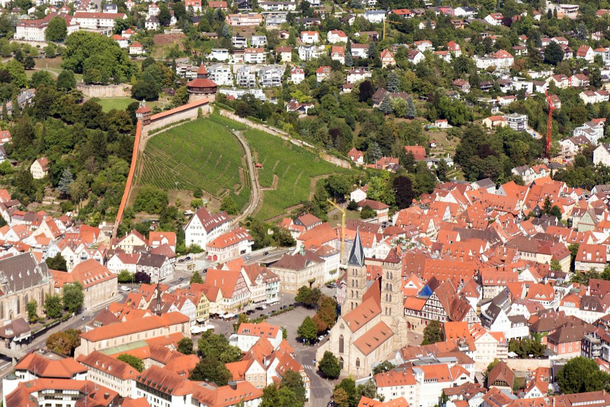 Luftbild: Weinberge, Burg, Rathaus, Stadtkirche