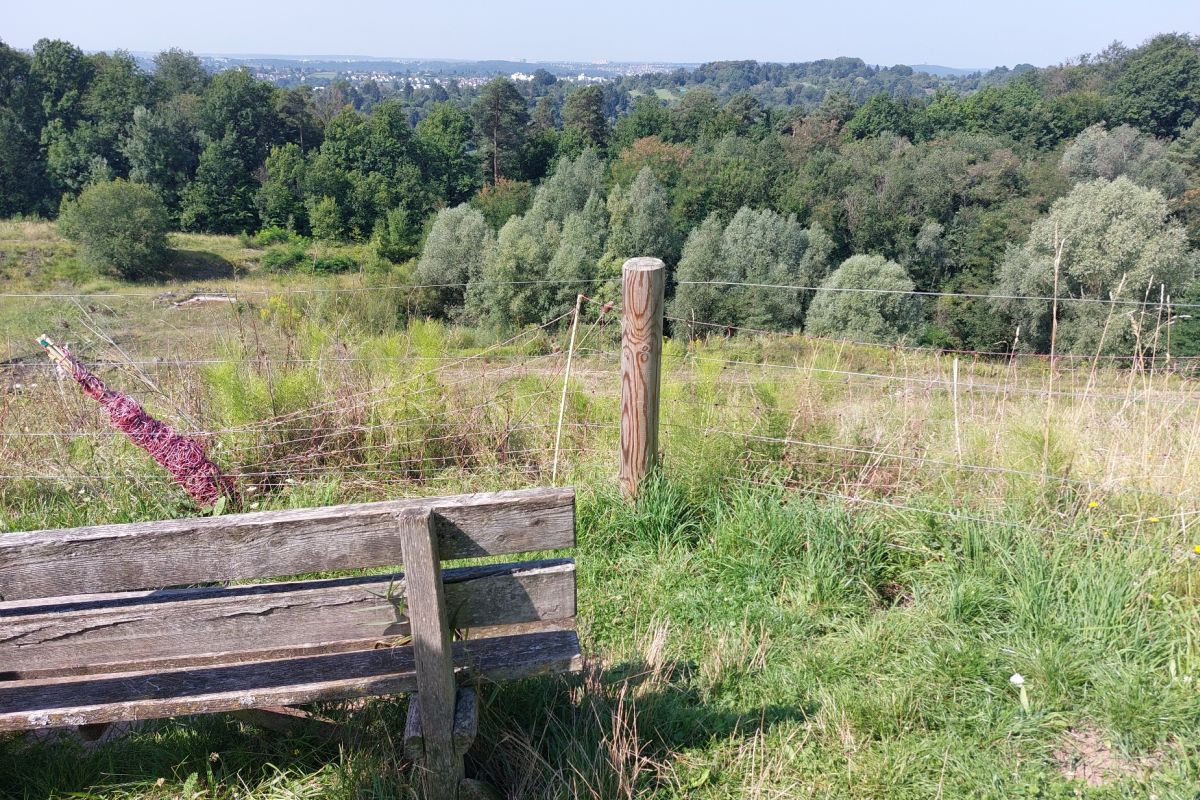 Bank Bank mit Ausblick auf Streuobstwiese.