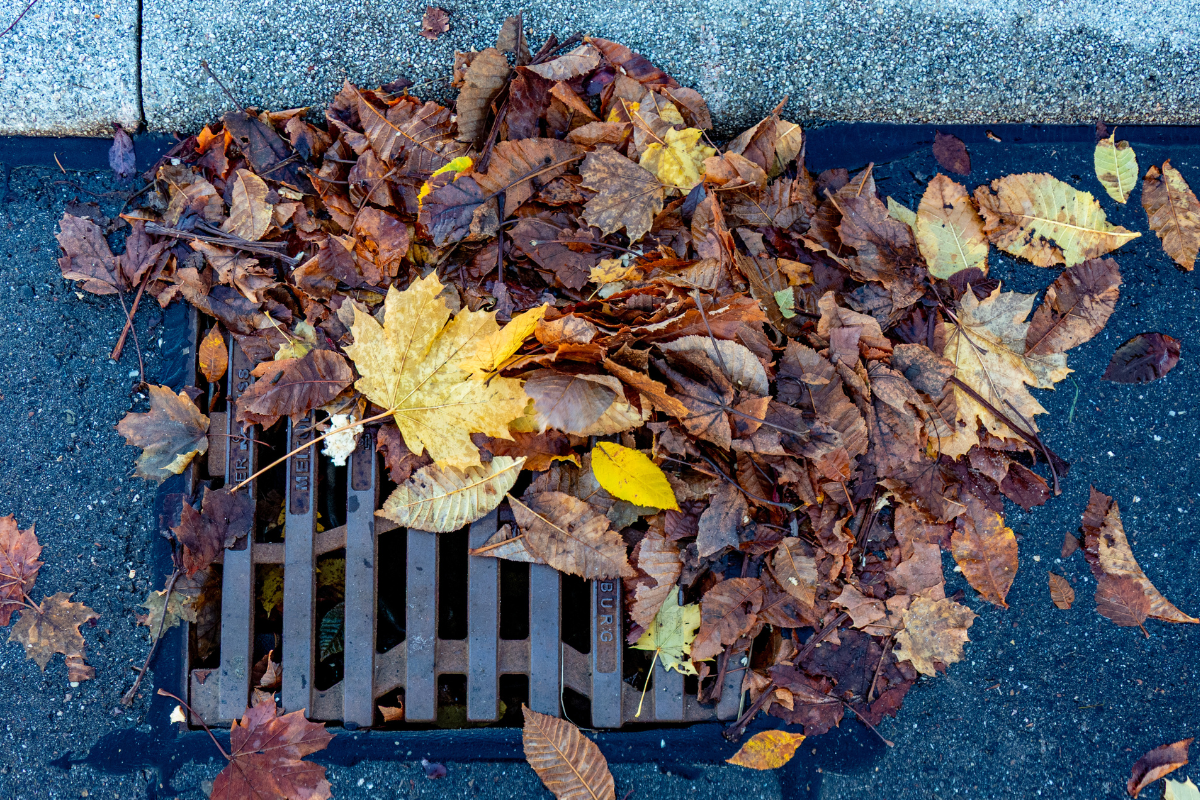 Laubgully Laub liegt auf Gully