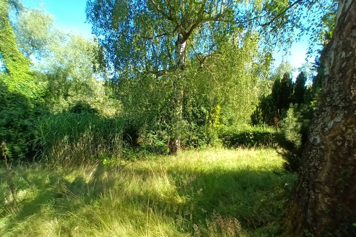 Impressionen des Grundstücks