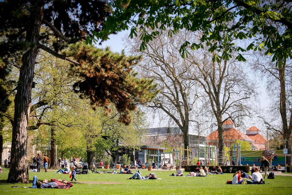 Maille Stadtpark Maille, viele Menschen sitzen und liegen auf der Wiese.