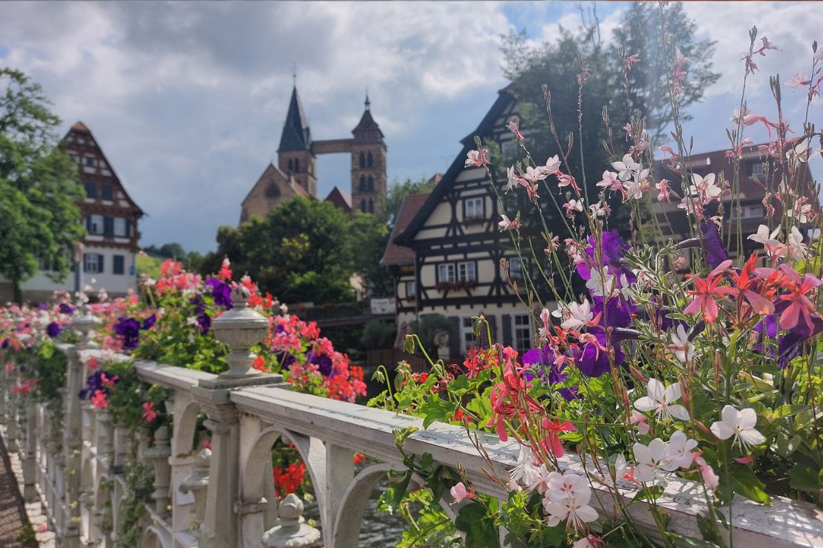 Blumen an der Agnesbrücke Zu sehen sind blühende Blumen an der Agnesbrücke in Esslingen mit Fachwerkhäusern im Hintergrundn i