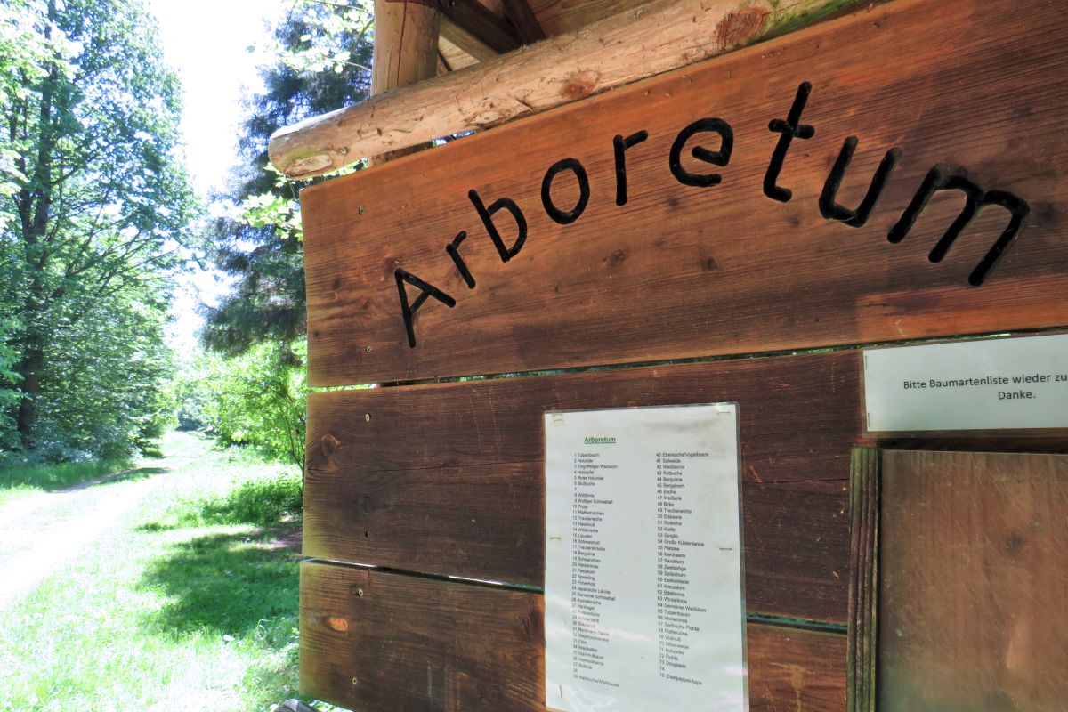 Infotafel Arboretum Berkheim, Baumverzeichnis