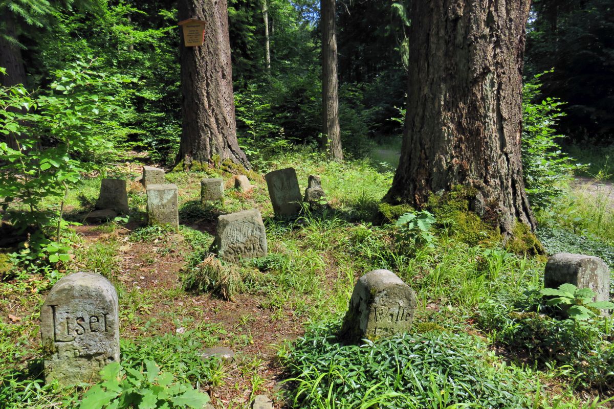 Jagdhundefriedhof im Stadtwald